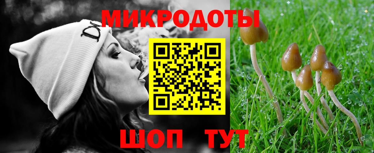 наркота  Псилоцибиновые грибы Cubensis  Вход с VPN  Галлюциногенные грибы Psilocybe  Тара 