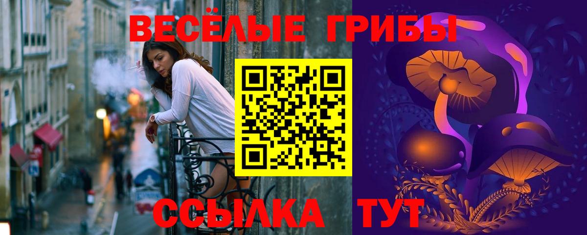 Псилоцибиновые грибы Cubensis Тара